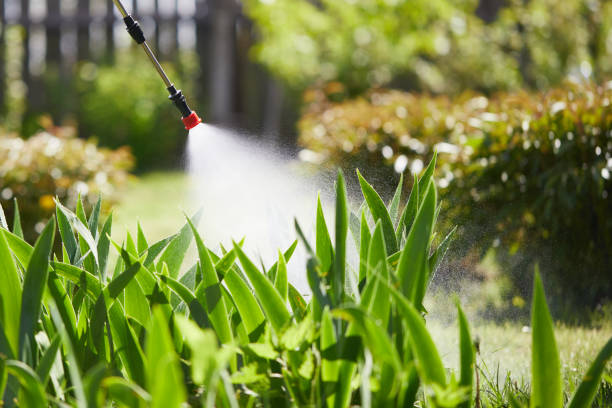 24/7 Emergency Cockroach Control experts in Lowesville, NC